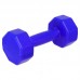 Гантелі для фітнесу пластикові Champion 2х2кг, синій, код: TA-9820-2_BL