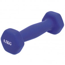 Гантель для фітнесу FitGo Веселка 1x0,5 кг, синій, код: TA-0001-0_5_BL-S52 Гантель для фітнесу FitGo Веселка 1x0,5 кг, синій, код: TA-0001-0_5_BL-S52