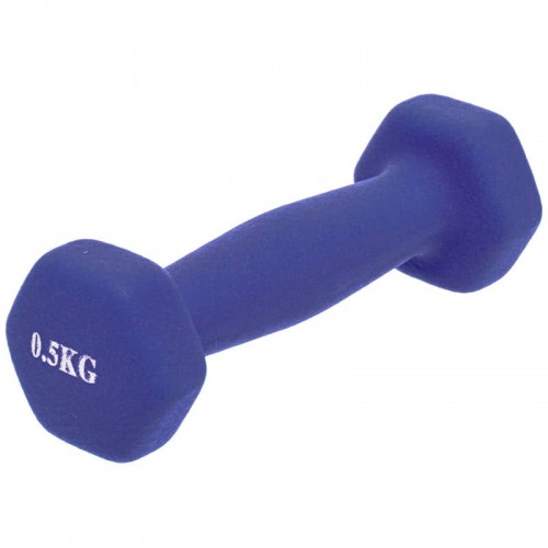 Гантель для фітнесу FitGo Веселка 1x0,5 кг, синій, код: TA-0001-0_5_BL-S52 Гантель для фітнесу FitGo Веселка 1x0,5 кг, синій, код: TA-0001-0_5_BL-S52
