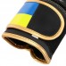 Боксерські рукавиці шкіряні Fistrage Ukraine 12oz, чорний, код: VL-5562_12BK