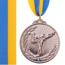 Медаль спортивна зі стрічкою PlayGame Карате срібна, код: C-7016_S