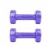 Вінілові гантелі inSPORTline Smoothbell 2x1 кг, код: 176-IN