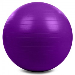 М"яч для фітнесу FitGo 750 мм темно-фіолетовий, код: FI-1984-75_DV