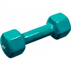 Гантель для фітнесу з вініловим покриттям Generation Fitness FF51D3A-1kg, 1х1 кг, бірюзовий, код: 522894-AX