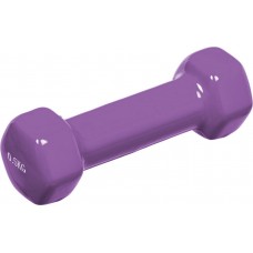 Гантель аеробна вінілова Fitnessport VDD-01-0,5кг, 1х0,5 кг, бузковий, код: 10170-AX