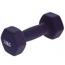 Гантелі FitGo 1х2,5 кг фіолетовий, код: TA-0001-2_5_V Гантелі FitGo 1х2,5 кг фіолетовий, код: TA-0001-2_5_V
