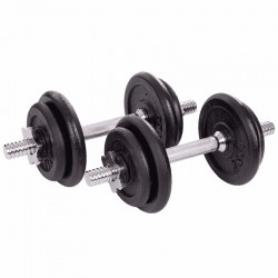 Гантелі розбірні сталеві Record 2х10кг, код: TA-7230-20-1 Гантелі розбірні сталеві Record 2х10кг, код: TA-7230-20-1