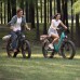 Електровелосипед ENGWE E26 (750 Вт; 16 А/год; 48 В), колеса 26", сірий, код: En-E26-gray