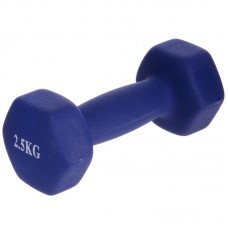 Гантелі FitGo 1х2,5 кг синій, код: TA-0001-2_5_BL Гантелі FitGo 1х2,5 кг синій, код: TA-0001-2_5_BL