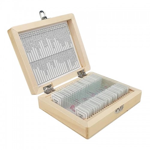 Набір мікропрепаратів Sigeta Анатомія (25 шт.), код: 65105-DB Набір мікропрепаратів Sigeta Анатомія (25 шт.), код: 65105-DB