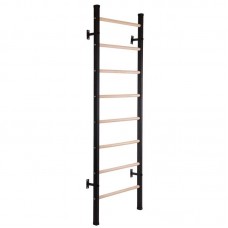 Шведська стінка-стійка BioGym Fitness Wood сталь дерево чорно-коричневий, код: L-6789-S52
