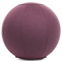 М"яч для фітнесу (фітбол) з чохлом FitGo 650 мм фіолетовий, код: FI-1466_V