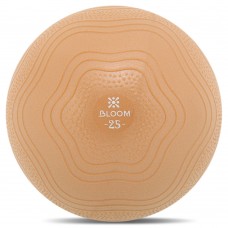 М"яч для пілатесу та йоги Bloom Mini Ball Pilates 25см, коричневий, код: LB7001-25