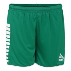 Шорти чоловічі Select Argentina Player Shorts L, зелений, код: 5703543170388