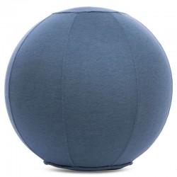 М"яч для фітнесу (фітбол) з чохлом FitGo 650 мм синій, код: FI-1466_BL