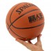 М"яч баскетбольний Spalding №7, коричневий, код: 77815Y-S52