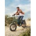 Електровелосипед Engwe Engine Pro 2.0 (750 Вт, 16 А*год, 52 В ), колеса 20", чорний, код: En-ENPRO-2-black