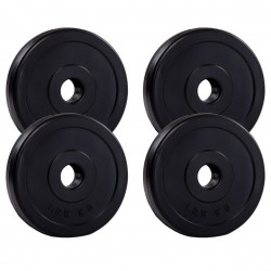 Набір композитних дисків Fit-On 4х1,25кг, код: 2010-1001