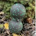 Масажний м"яч подвійний PowerPlay Epp Foam peanut Ball 160х80 мм, чорний-зелений, код: PP_4352_Green_8x16