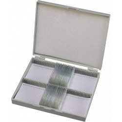 Набір мікропрепаратів Bresser 50 шт (5986002), код: 931507-SVA Набір мікропрепаратів Bresser 50 шт (5986002), код: 931507-SVA