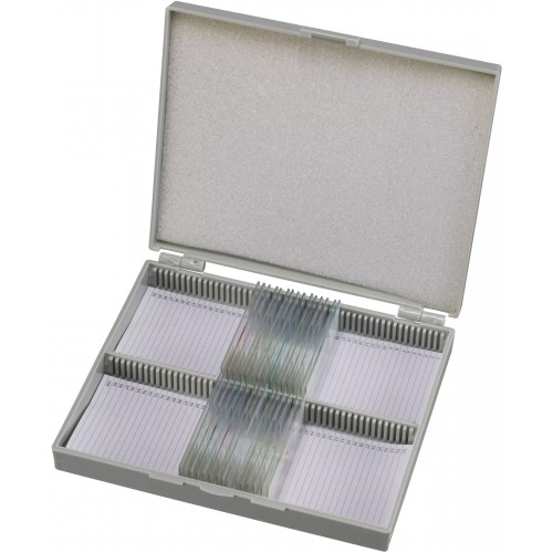 Набір мікропрепаратів Bresser 50 шт (5986002), код: 931507-SVA Набір мікропрепаратів Bresser 50 шт (5986002), код: 931507-SVA