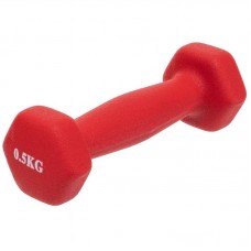 Гантель для фітнесу FitGo Веселка 1x0,5 кг, червоний, код: TA-0001-0_5_R-S52 Гантель для фітнесу FitGo Веселка 1x0,5 кг, червоний, код: TA-0001-0_5_R-S52