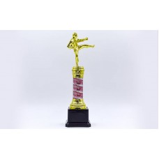 Нагорода спортивна PlayGame Карате, код: C-C3580-10-S52