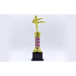 Нагорода спортивна PlayGame Карате, код: C-C3580-10-S52