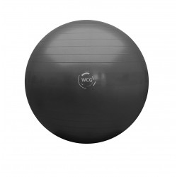М"яч для фітнесу (фітбол) WCG 85 Anti-Burst 300кг, графіт, код: W-000-85-IF