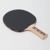 Ракетка для настільного тенісу Donic Level 150 Champs Line, код: MT-705116 Ракетка для настільного тенісу Donic Level 150 Champs Line, код: MT-705116