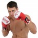 Боксерські рукавиці Twins PVC 12 унцій, червоний, код: BO-9476_12R