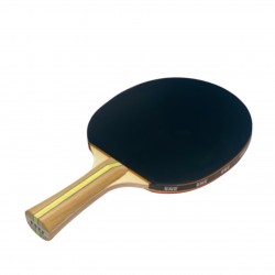 Ракетка для настільного тенісу SNS S203 2*, код: 23401-SNS