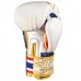 Боксерські рукавиці Phantom Muay Thai Gold Limited Edition 12 унцій, код: PHBG2590-12