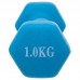 Гантелі для фітнесу FitGo Веселка з неопреновим покриттям 1x1 кг блакитний, код: TA-0001-1_N-S52