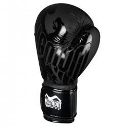 Боксерські рукавиці Phantom Germany Eagle Black 14 унцій, код: PHBG2323-14