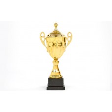 Кубок спортивний з ручками і кришкою PlayGame Great 40 см, код: C-4060C