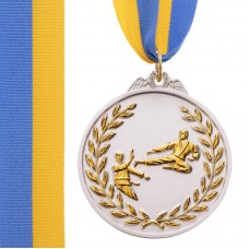 Медаль спортивна зі стрічкою двокольорова PlayGame Карате срібна, код: C-7026_S