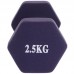 Гантелі FitGo 1х2,5 кг синій, код: TA-0001-2_5_BL