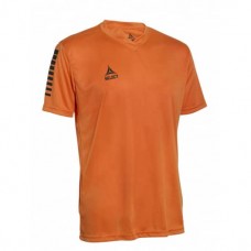 Футболка для матчів чоловіча Select Pisa Player Shirt s/s L, помаранчевий, код: 5703543227846