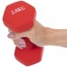 Гантелі для фітнесу FitGo 1x2кг синій, код: TA-0001-2_BL-S52