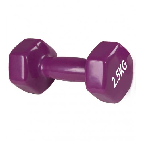 Гантель PowerPlay вінілова 1х2.5 кг, фіолетова, код: PP_4125_2.5kg