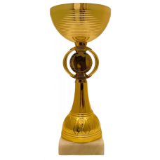 Кубок нагородний PlayGame металева чаша, жетон d 25мм, h 18см, золото, код: 2963060048826