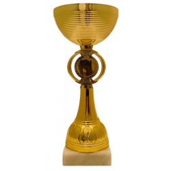 Кубок нагородний PlayGame металева чаша, жетон d 25мм, h 18см, золото, код: 2963060048826