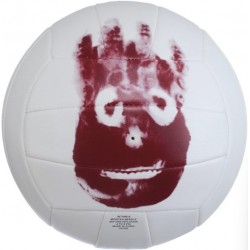 М"яч волейбольний Wilson MR Wilson Castaway SS13 №5, білий, код: 026388448371