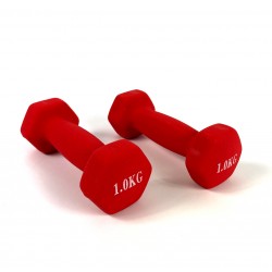 Гантелі для фітнесу FitGo 2x1 кг червоні, код: