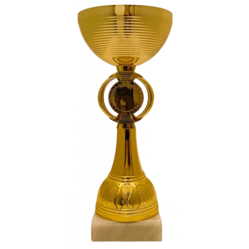 Кубок нагородний PlayGame металева чаша, жетон d 25мм, h 21см, золото, код: 2963060048819