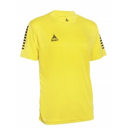 Футболка для матчів чоловіча Select Pisa Player Shirt s/s L, жовтий-чорний, код: 5703543228171