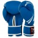 Боксерські рукавиці Twins PVC 14 унцій, синій, код: BGVL-10_14BL