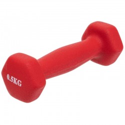 Гантель для фітнесу FitGo Веселка 1x0,5 кг, червоний, код: TA-0001-0_5_R-S52
