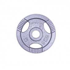 Диск чавунний inSPORTline Hamerton 2,5 кг, код: 12709-IN